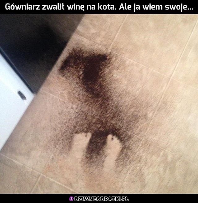 Mam pewne podejrzenie