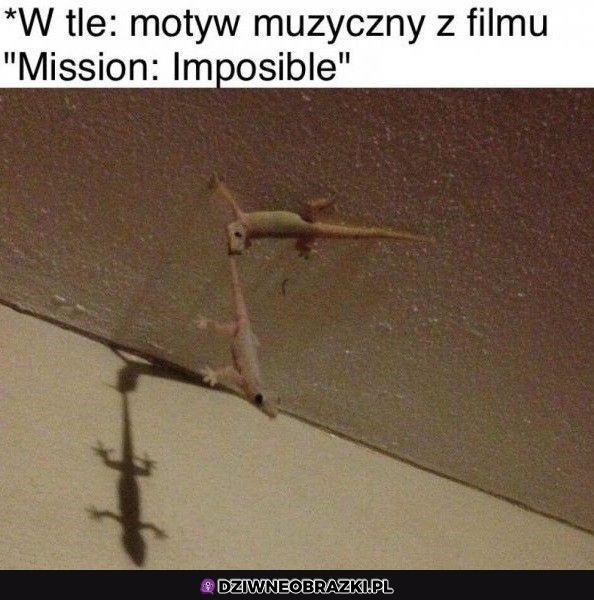 Operacja specjalna