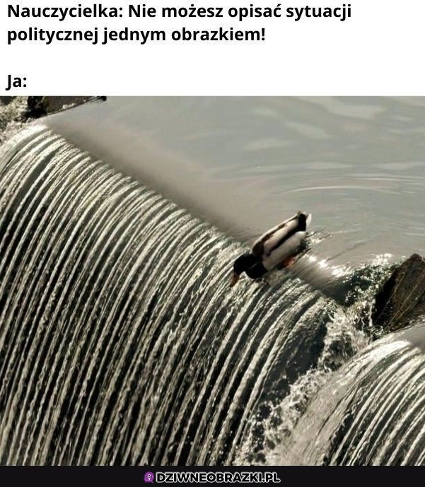 Mogę