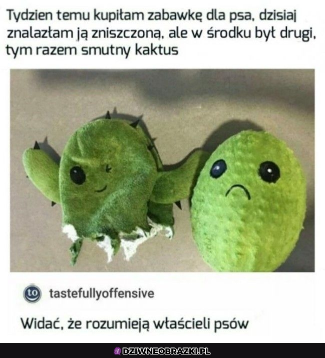 Super zabawka