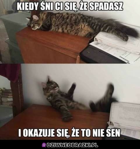 To jednak nie sen