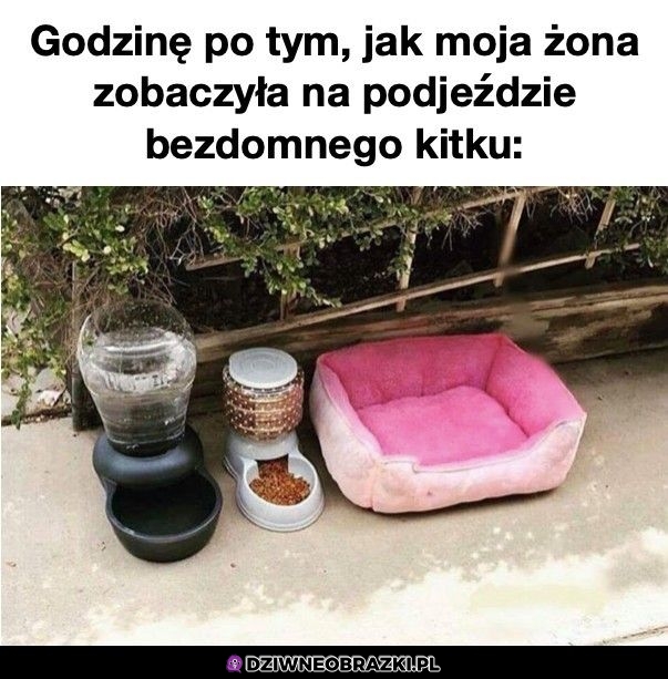 Kiedy przyjdzie do ciebie kitku