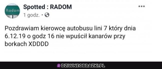 Dobry ziomek kierowca