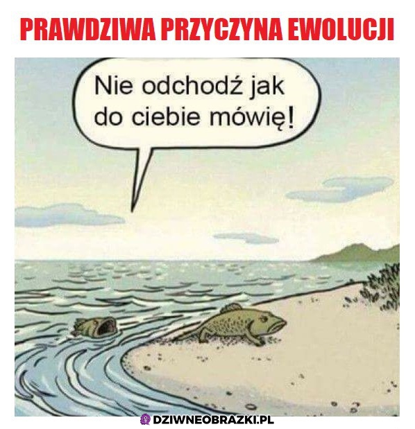 Tak było