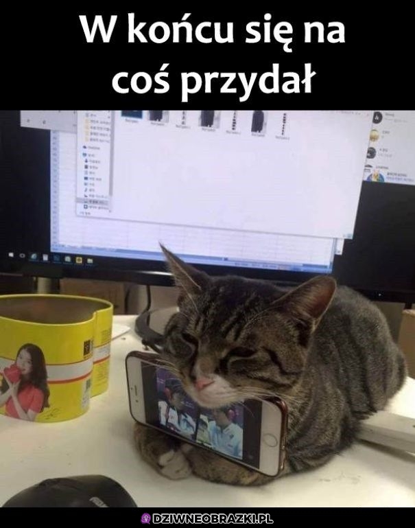 Przydał się