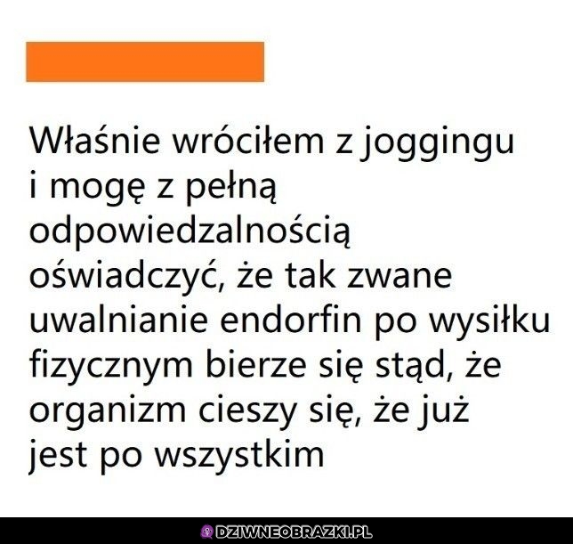 Ale działa