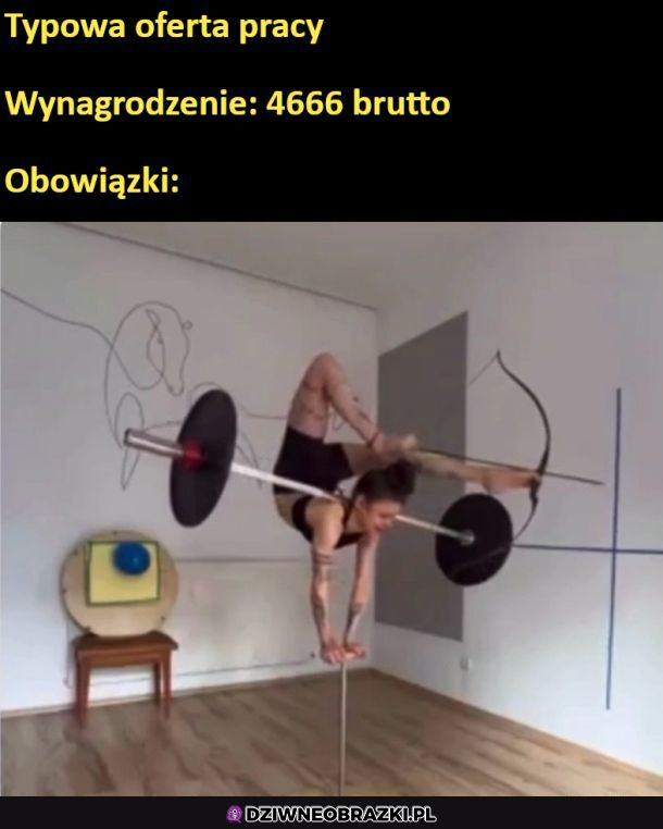 Typowa oferta pracy