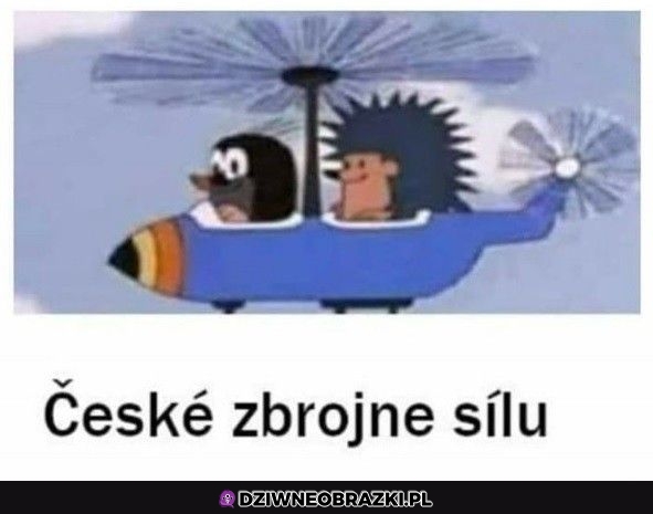 Czeskie siły