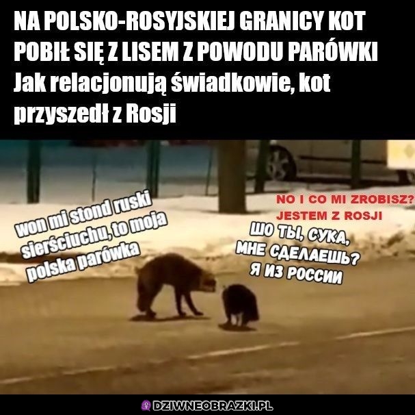 Spięcie na granicy