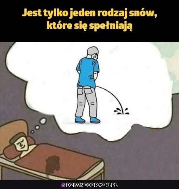 Spełniony sen