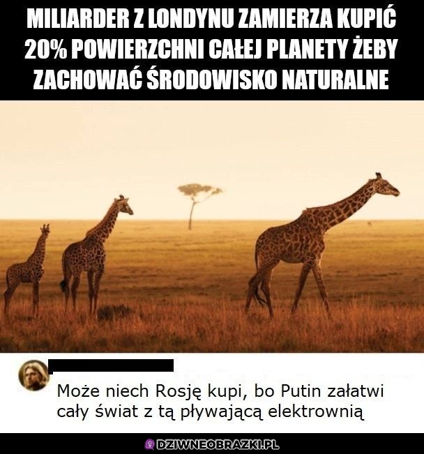 Zawsze to jakiś pomysł