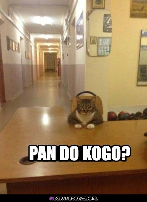 Do kogo?