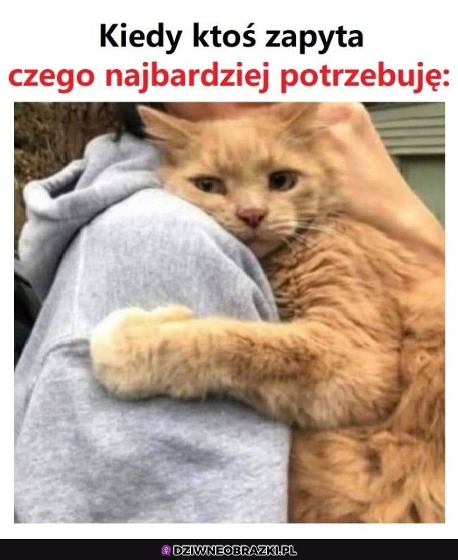 Właśnie tego