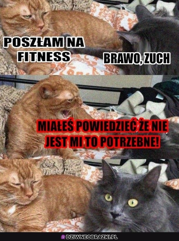 Ups
