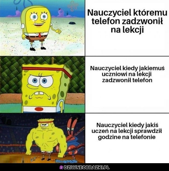 Nauczyciele
