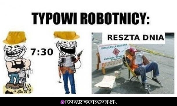 Robotnicy