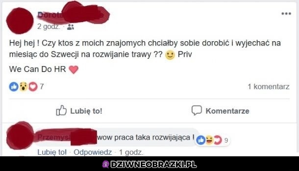 Praca w Szwecji