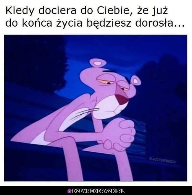 Bez sensu
