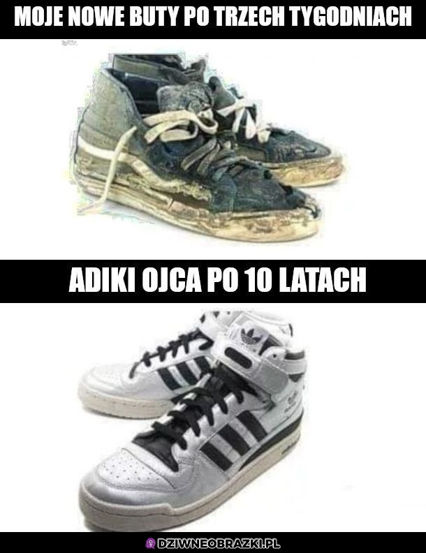 Bez kitu to