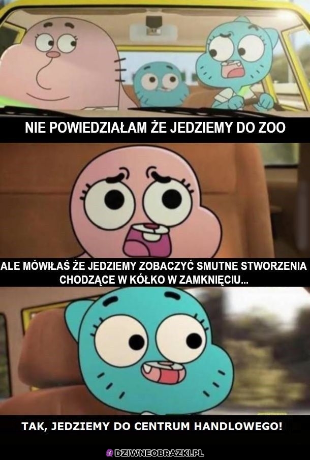 Wycieczka