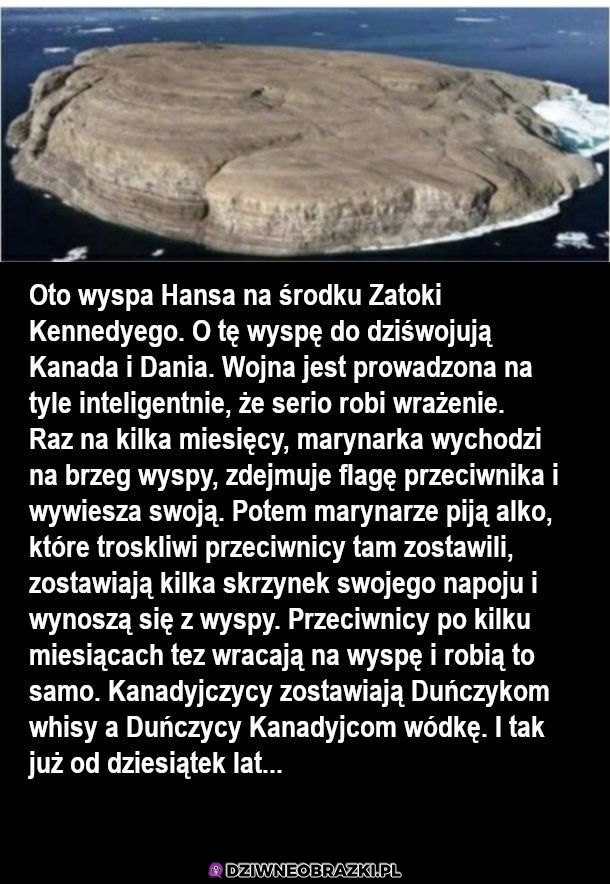 Taką wojnę to ja rozumiem