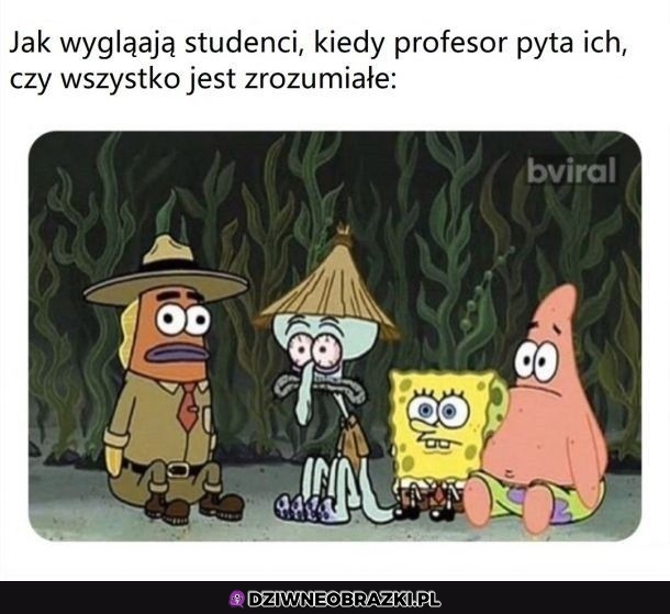 Taki ich wygląd