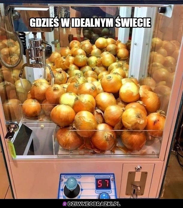 Świat idealny