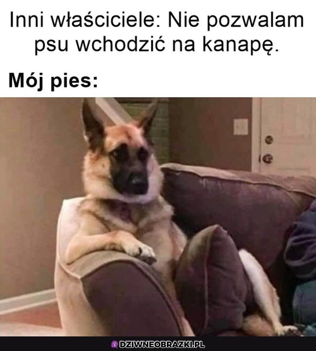 Rozwalony jakby był u siebie
