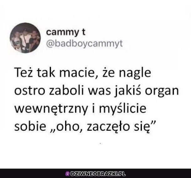 Oczywiście, że tak