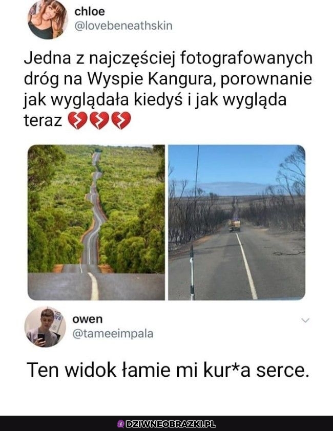 Trochę przykro