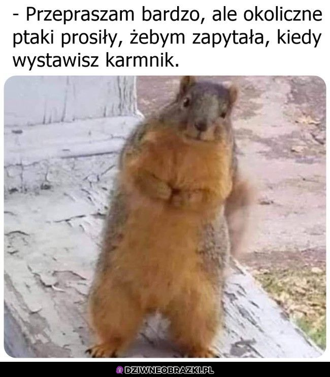 Taka mała sprawa jest