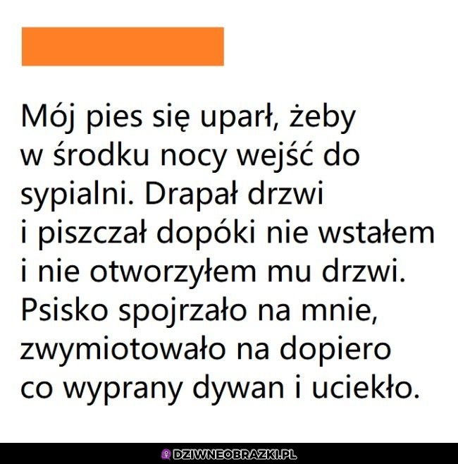 Miał ważny przekaz