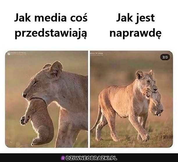 Najczęściej tak jest