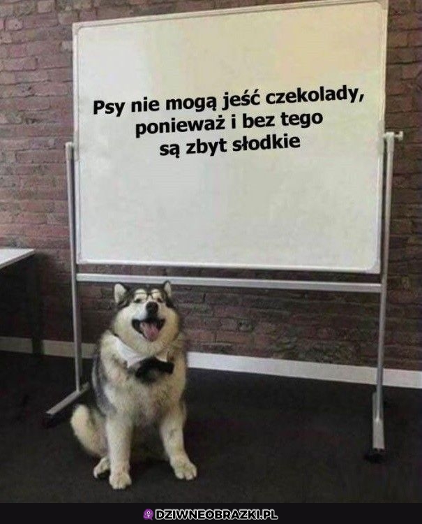 A to dlatego