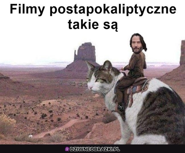 Postapo takie są