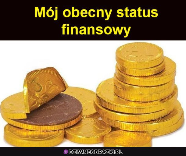 Mój status finansowy