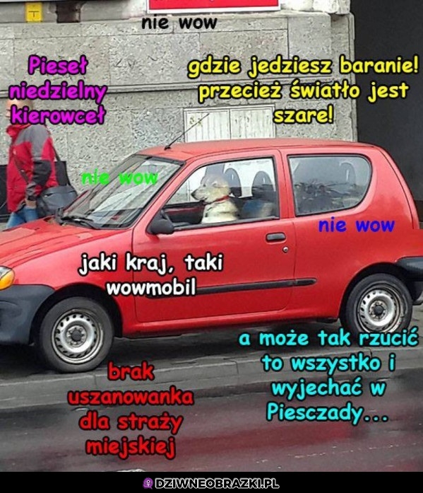 Pieseł kierowceł