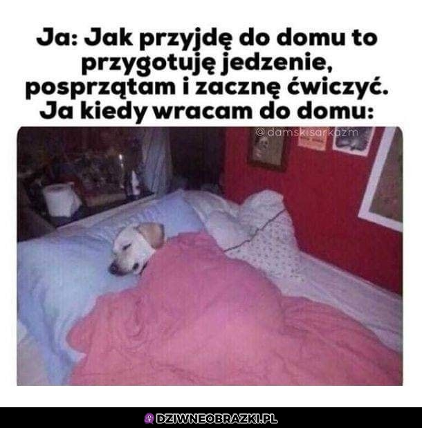 Kiedy wracam do domu