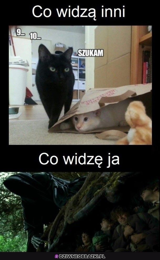 To widzę