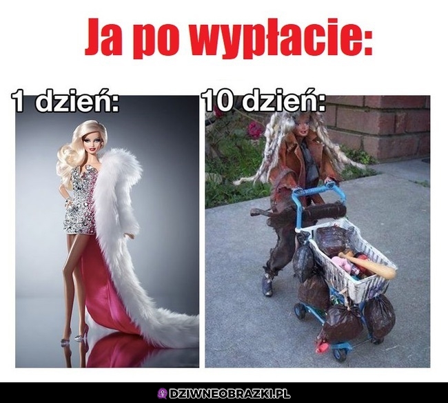 Tak to wygląda