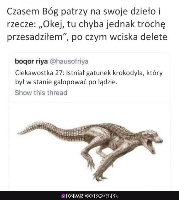 To musiał być potwór
