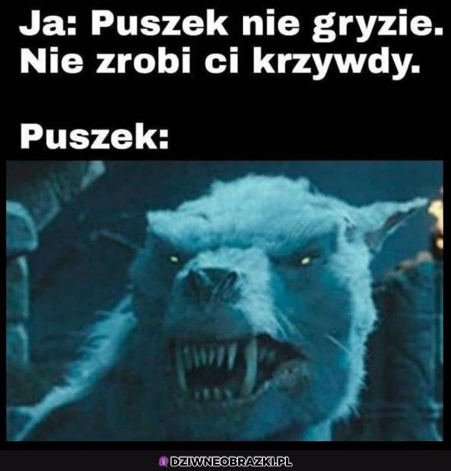 Puszek niegroźny Puszek niegroźny
