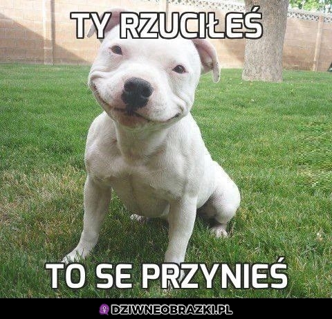 No już już