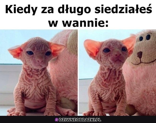 Ten moment Ten moment