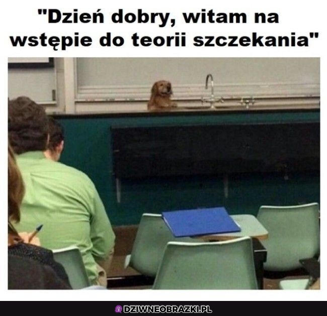 Najlepszy wykład