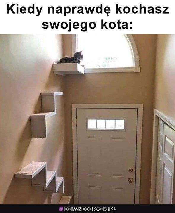 Szanuję