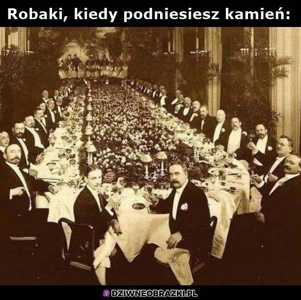 Witamy