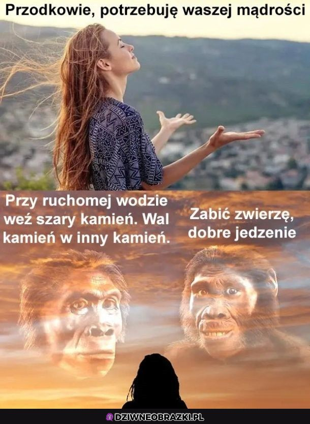 Mądrości przodków