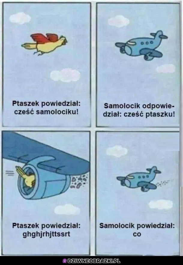 Samolocik