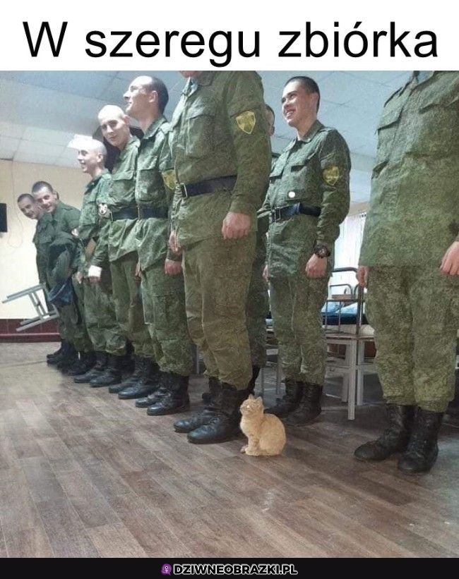 Gotowy do odprawy